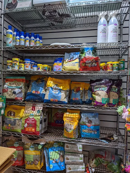 The Pet Market Picture 5