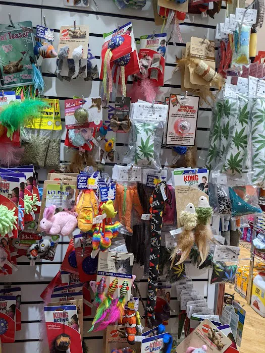 The Pet Market Picture 8