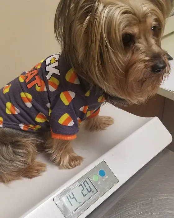Delaware County Animal Hospital Picture 6