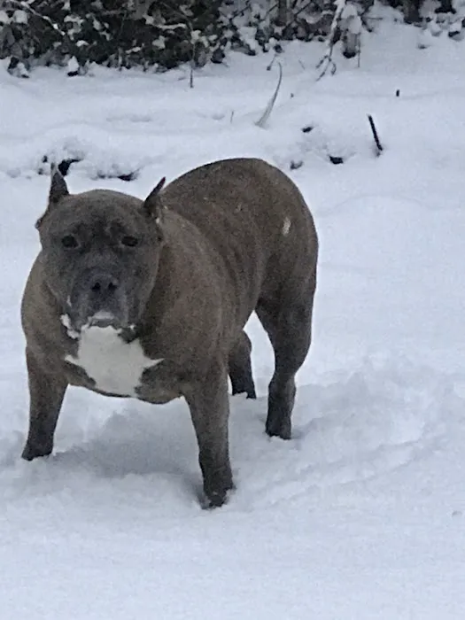 Delaware County Animal Hospital Picture 1