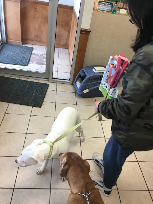 Delaware County Animal Hospital Picture 7