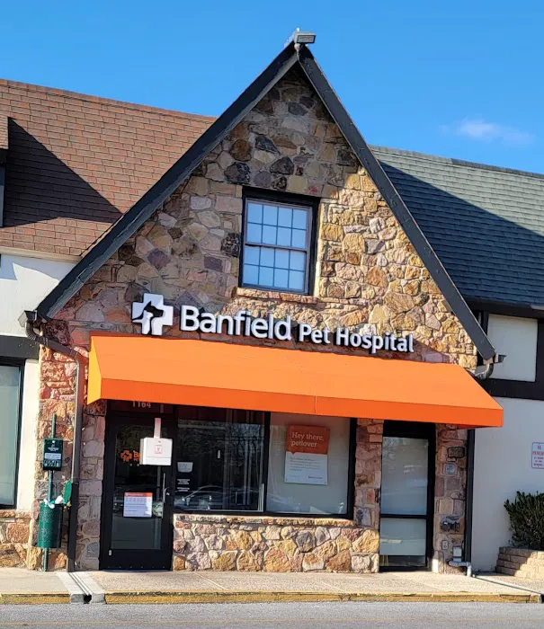 Banfield Pet Hospital Picture 1