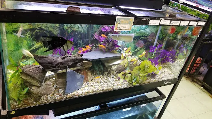 Petland Discounts - LI City Picture 2