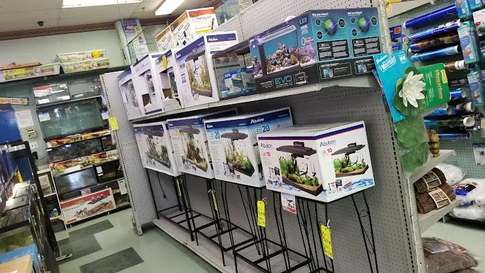 Petland Discounts - LI City Picture 8