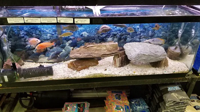 Petland Discounts - LI City Picture 3