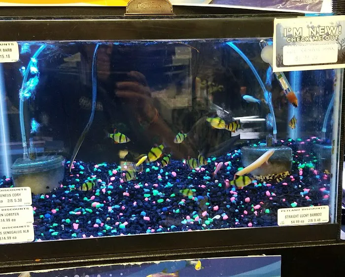 Petland Discounts - LI City Picture 7