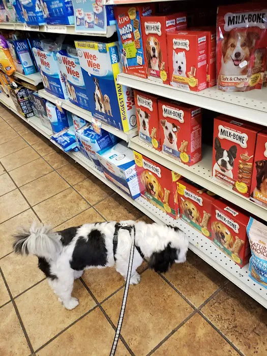 Petland Discounts - LI City Picture 5