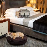 Canine Styles Uptown ico