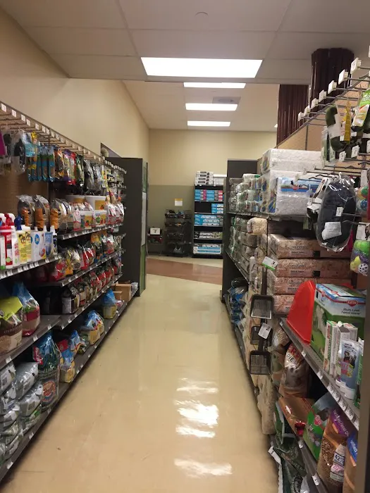 Petco Picture 7