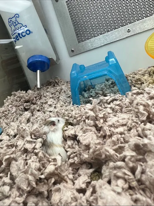 Petco Picture 5