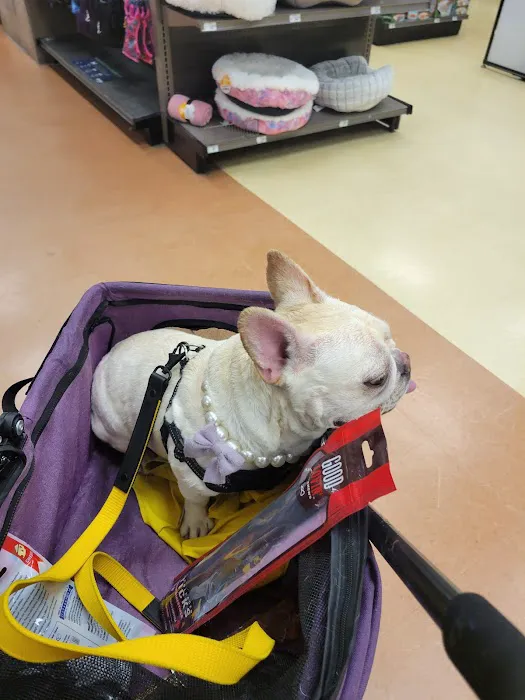 Petco Picture 4