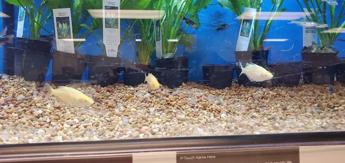 Petco Picture 1