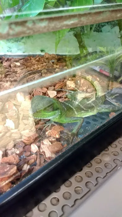 Petco Picture 3