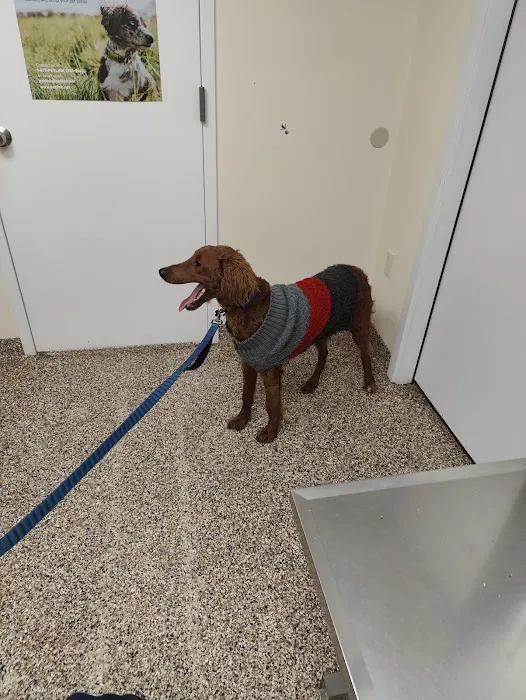 Bywood Animal Hospital Picture 5