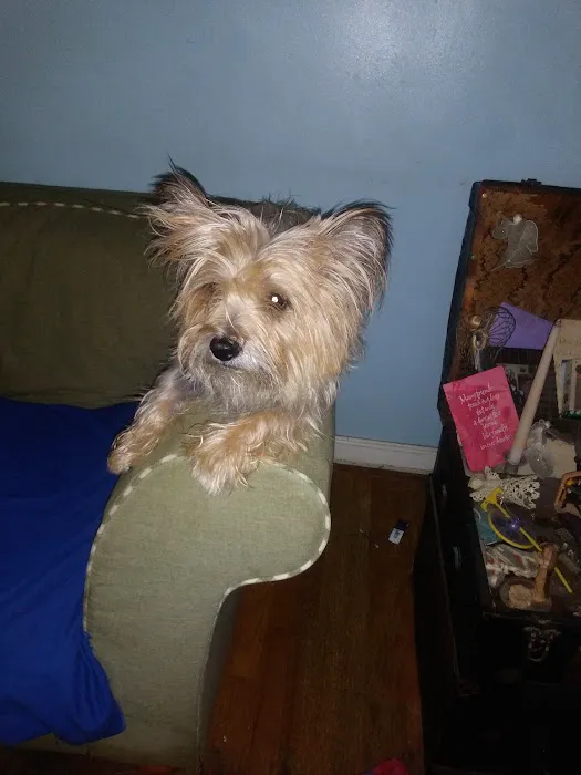 Bywood Animal Hospital Picture 4
