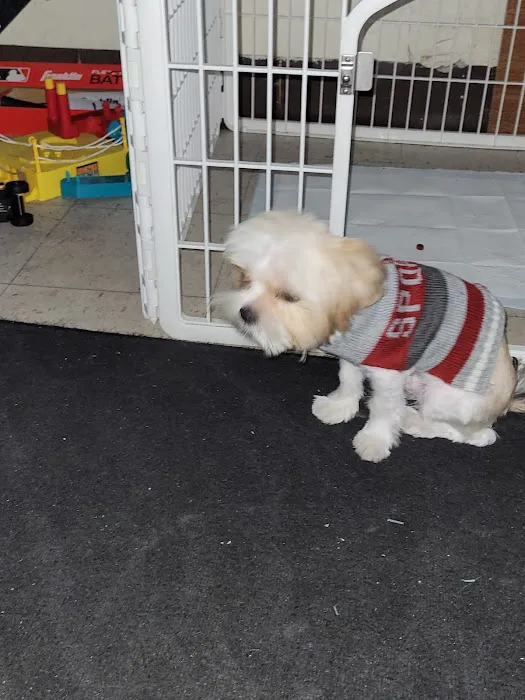 Bywood Animal Hospital Picture 7