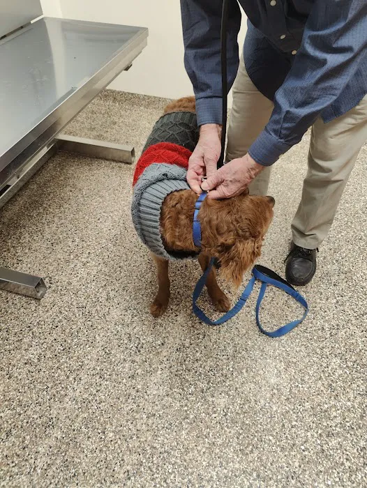 Bywood Animal Hospital Picture 8