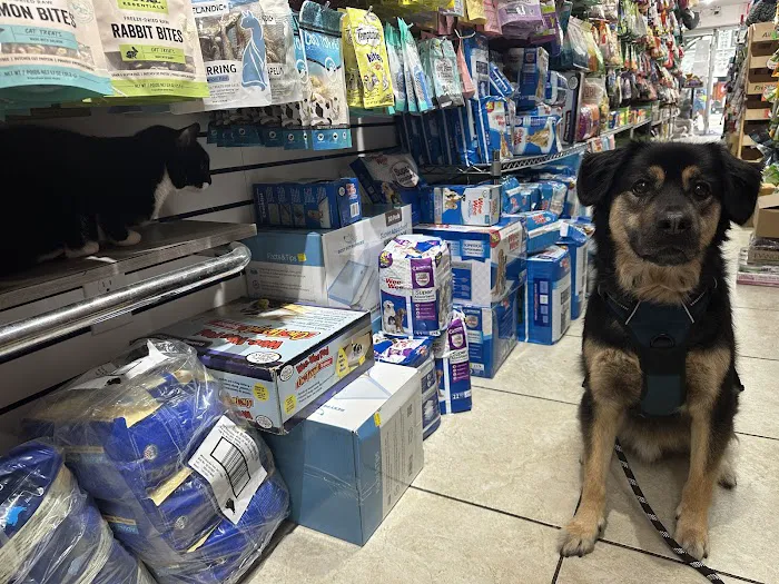 The Pet Market Picture 1