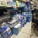 The Pet Market
