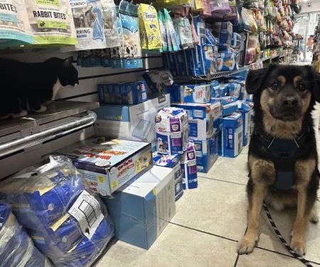 The Pet Market