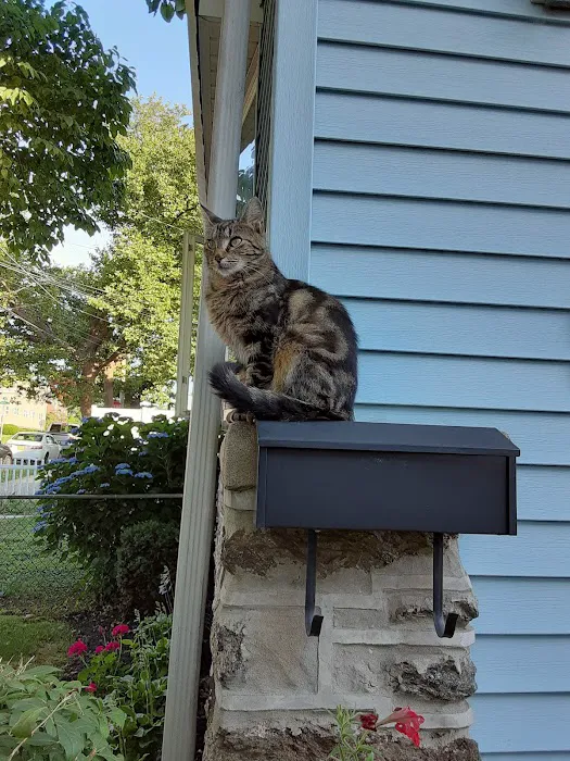 Huntingdon Valley Veterinary Hospital Picture 3