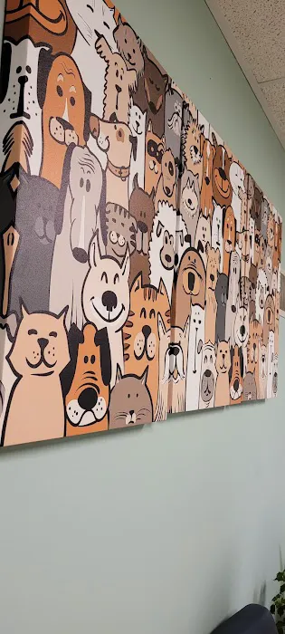 Huntingdon Valley Veterinary Hospital Picture 8
