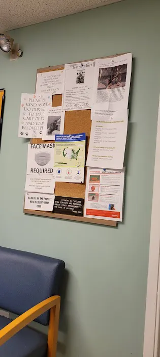 Huntingdon Valley Veterinary Hospital Picture 7