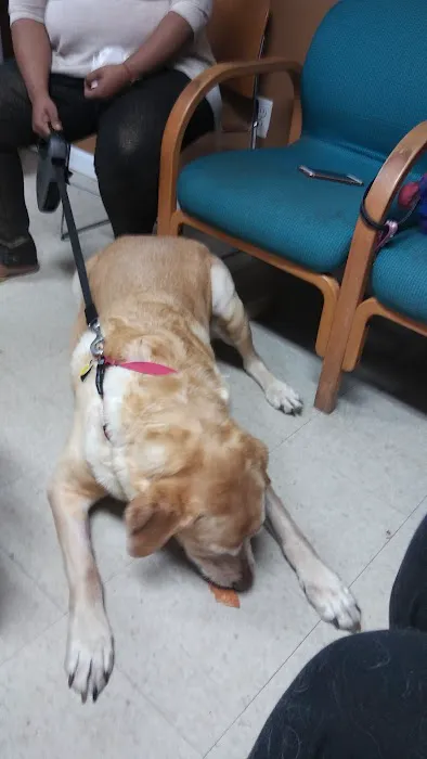Compassion Veterinary Clinic Picture 4