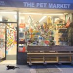 The Pet Market