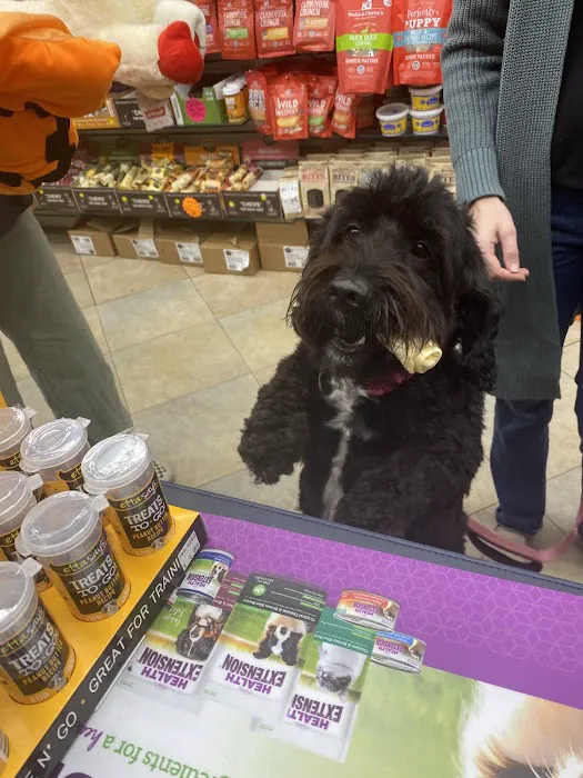 The Pet Market Picture 2