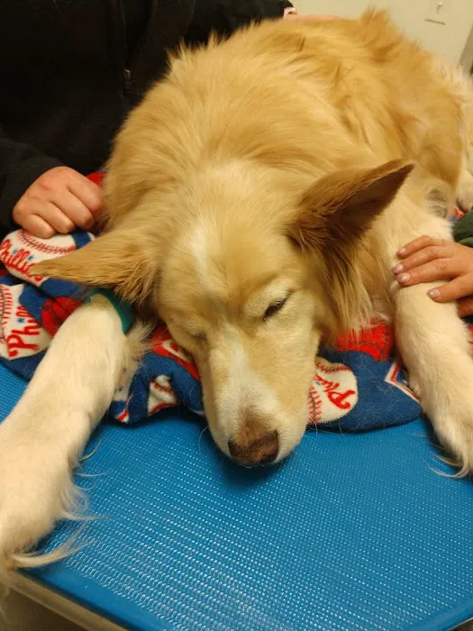Caring Hands Veterinary Clinic Picture 2