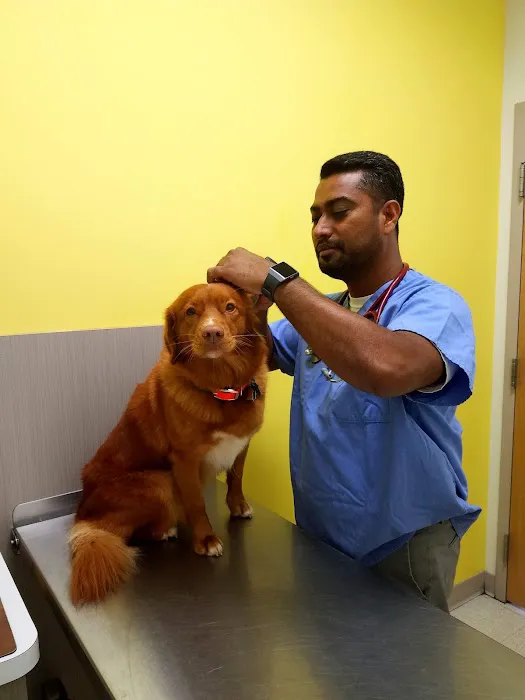 Caring Hands Veterinary Clinic Picture 6
