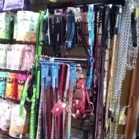 Weehawken Pet Shop ico