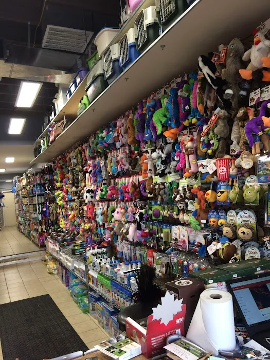Weehawken Pet Shop Picture 6