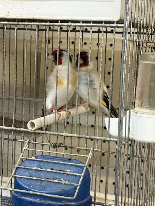 Pete's Bird Garden Picture 4