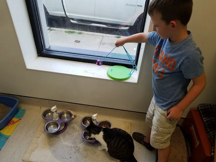 PAWS Northeast Spay/Neuter & Wellness Clinic Picture 8