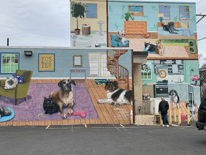 PAWS Northeast Spay/Neuter & Wellness Clinic Picture 5