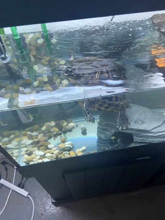 Father Natures Aquarium Services Picture 2