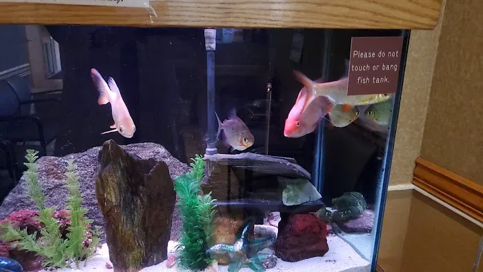 Father Natures Aquarium Services Picture 5