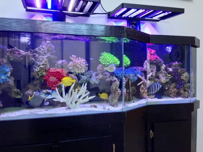 Father Natures Aquarium Services Picture 1