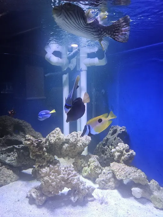 Father Natures Aquarium Services Picture 7