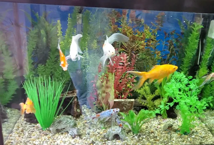 Father Natures Aquarium Services Picture 10