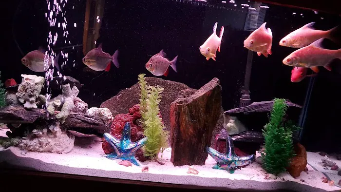 Father Natures Aquarium Services Picture 8