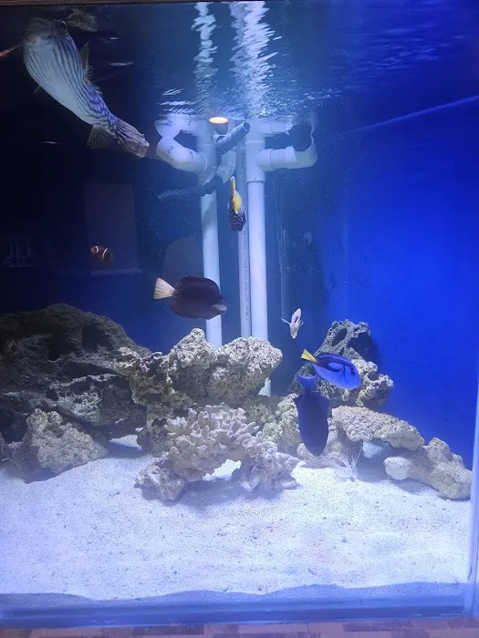 Father Natures Aquarium Services Picture 9