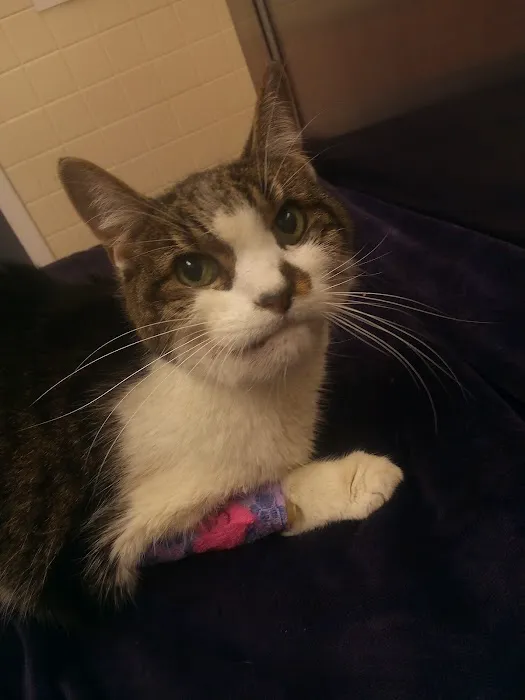 Hopewell Veterinary Hospital Picture 8