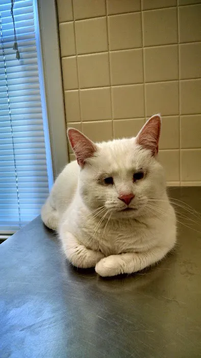 Hopewell Veterinary Hospital Picture 9