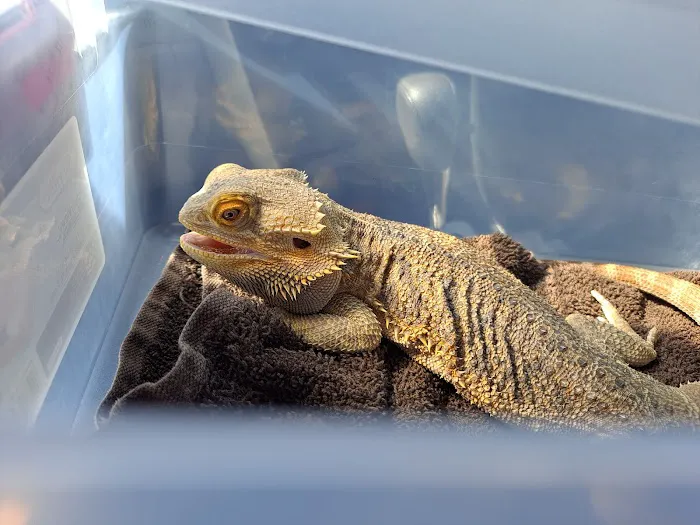 Hopewell Veterinary Hospital Picture 2
