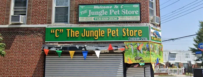 C The Jungle Pet Store Picture 2