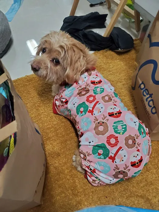 Petco Picture 5