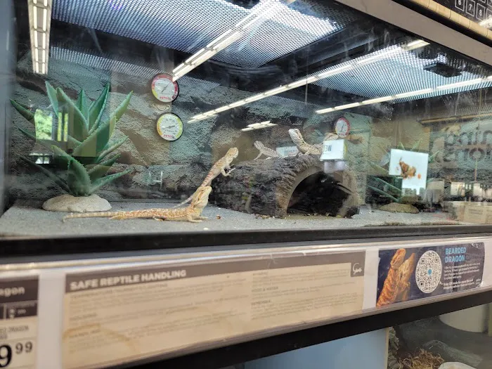 Petco Picture 7
